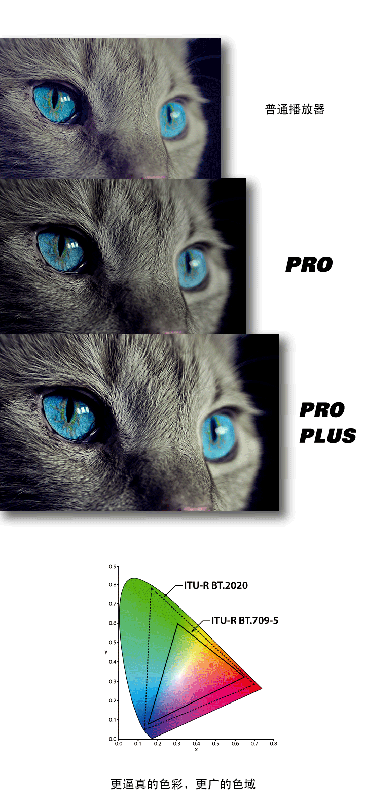 PLUS_16